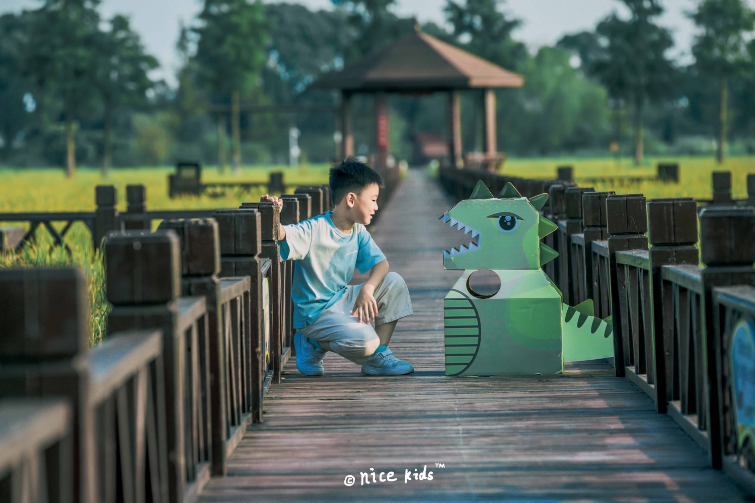 苏州NICEKIDS奈时儿童摄影 我的小小恐龙