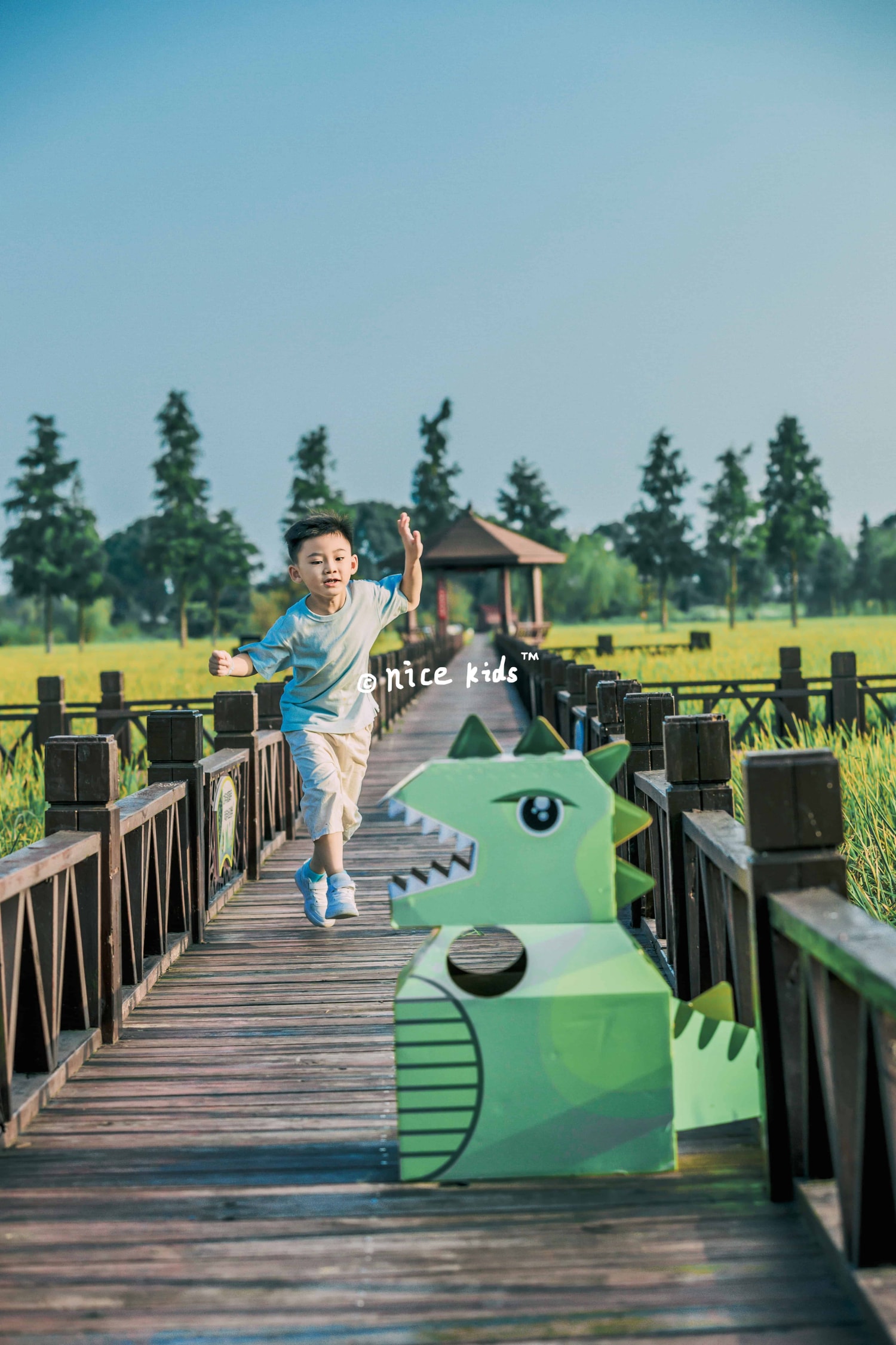 苏州NICEKIDS奈时儿童摄影 我的小小恐龙