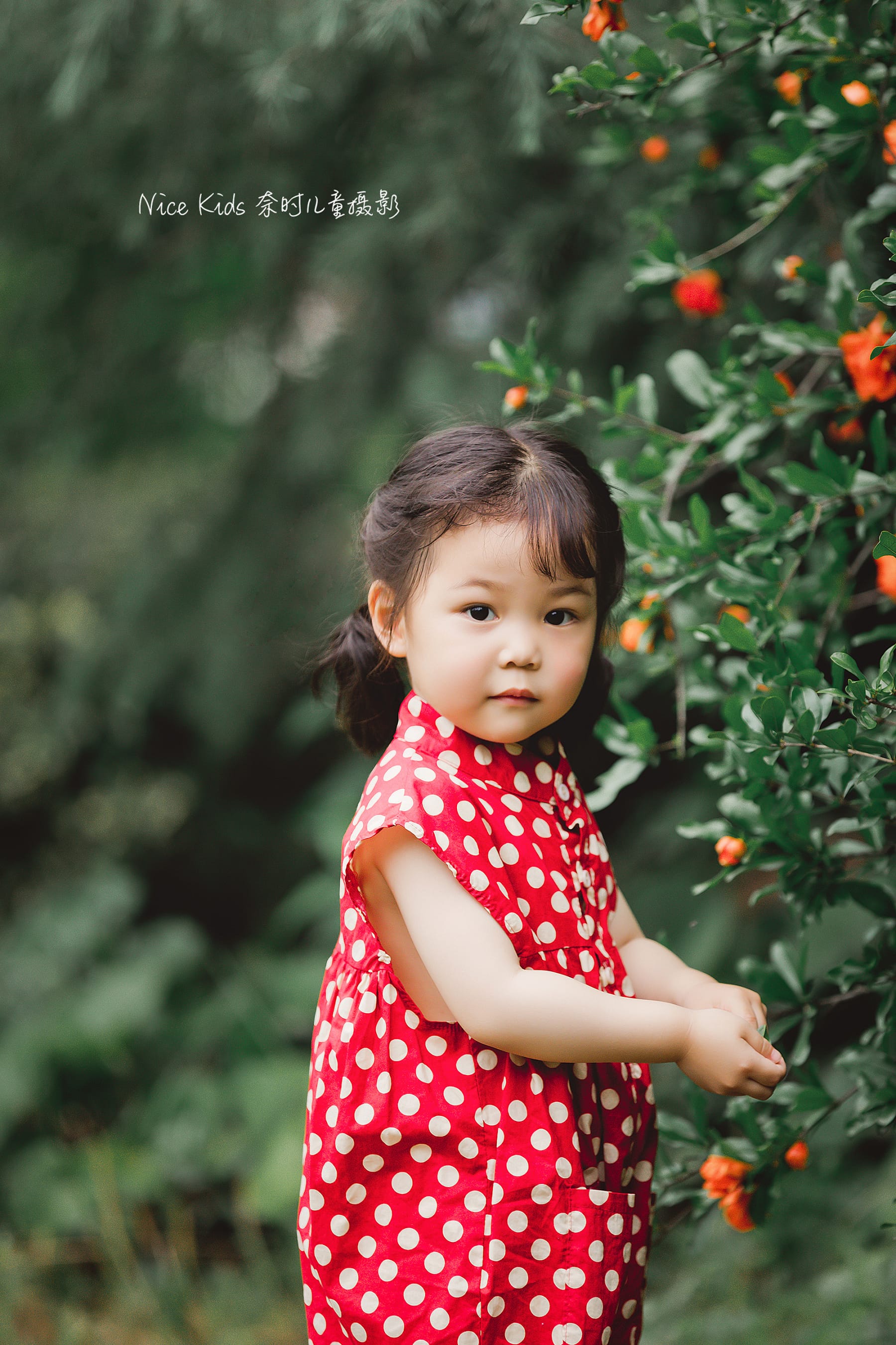 外景兔子 苏州NICEKIDS奈时儿童摄影