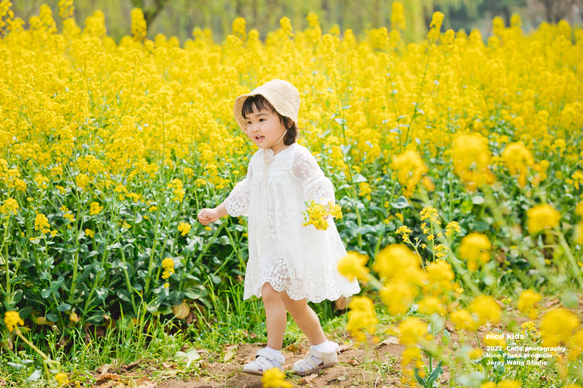 2022油菜花 苏州NICEKIDS奈时儿童摄影