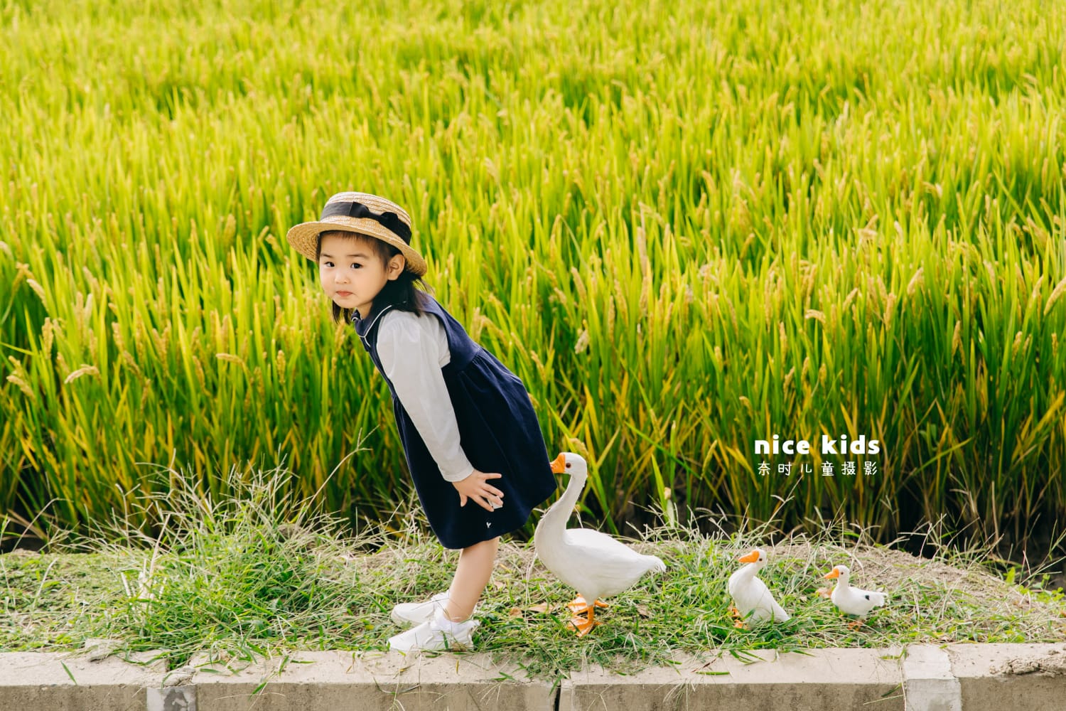 苏州NICE KIDS奈时儿童摄影工作室-稻田田园风