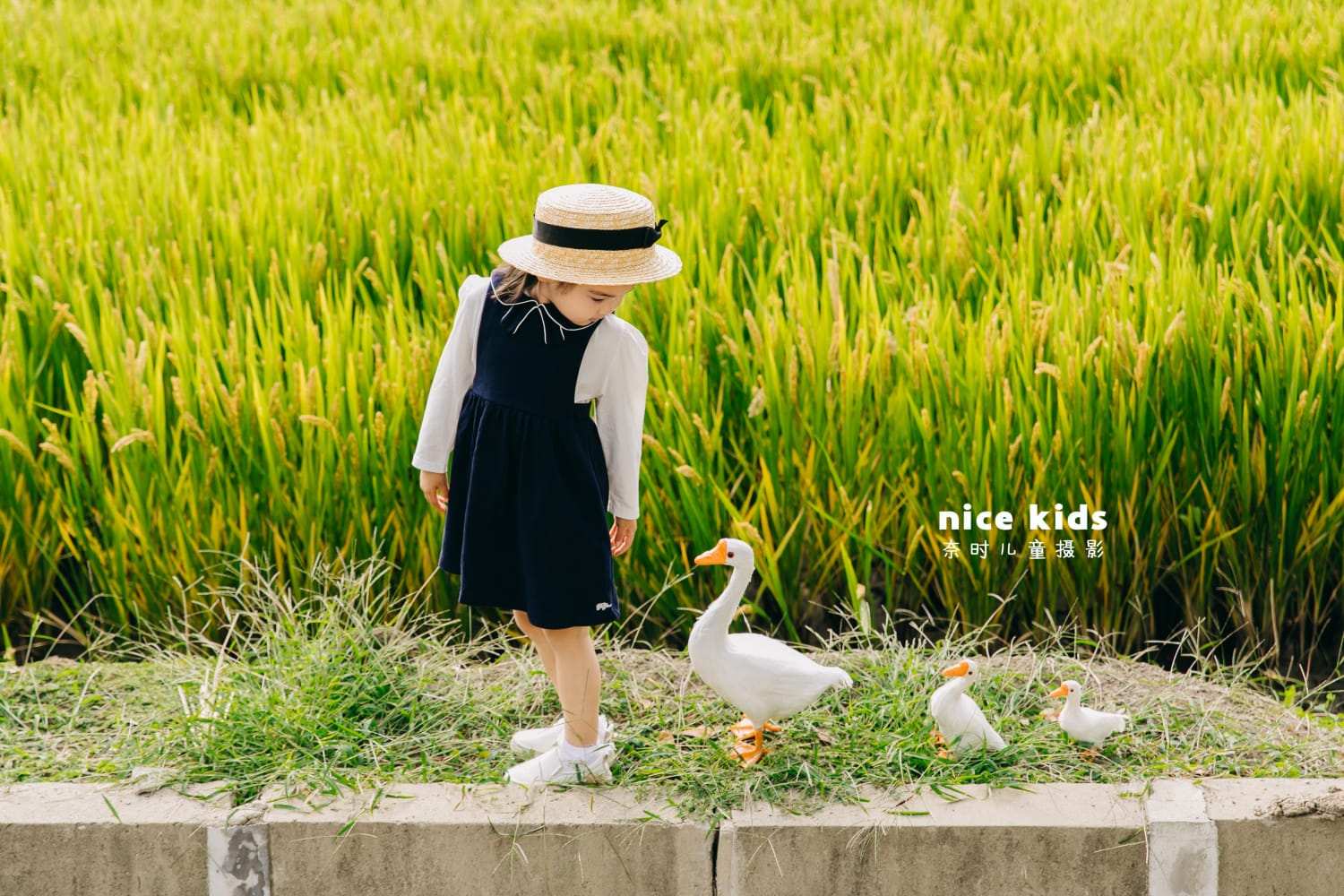 苏州NICE KIDS奈时儿童摄影工作室-稻田田园风