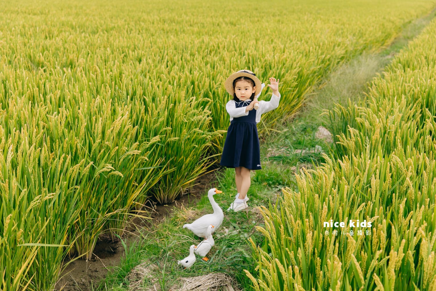 苏州NICE KIDS奈时儿童摄影工作室-稻田田园风