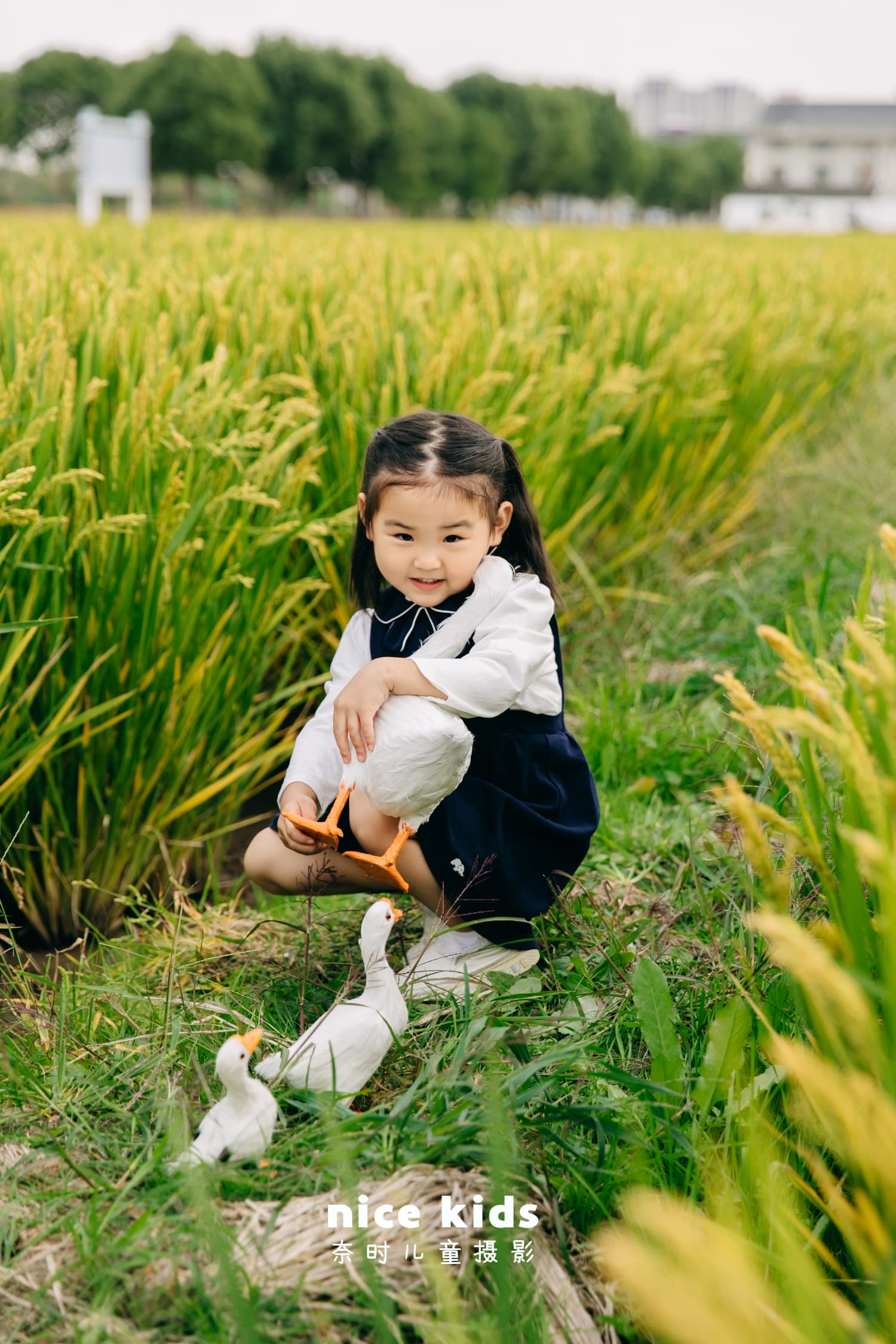 苏州NICE KIDS奈时儿童摄影工作室-稻田田园风
