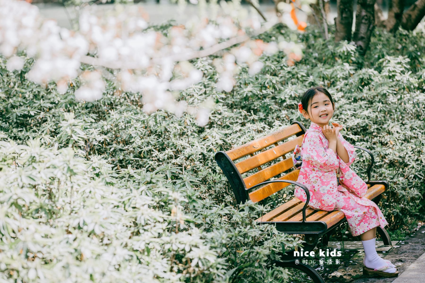 如此浪漫の樱花 苏州NICEKIDS奈时儿童摄影