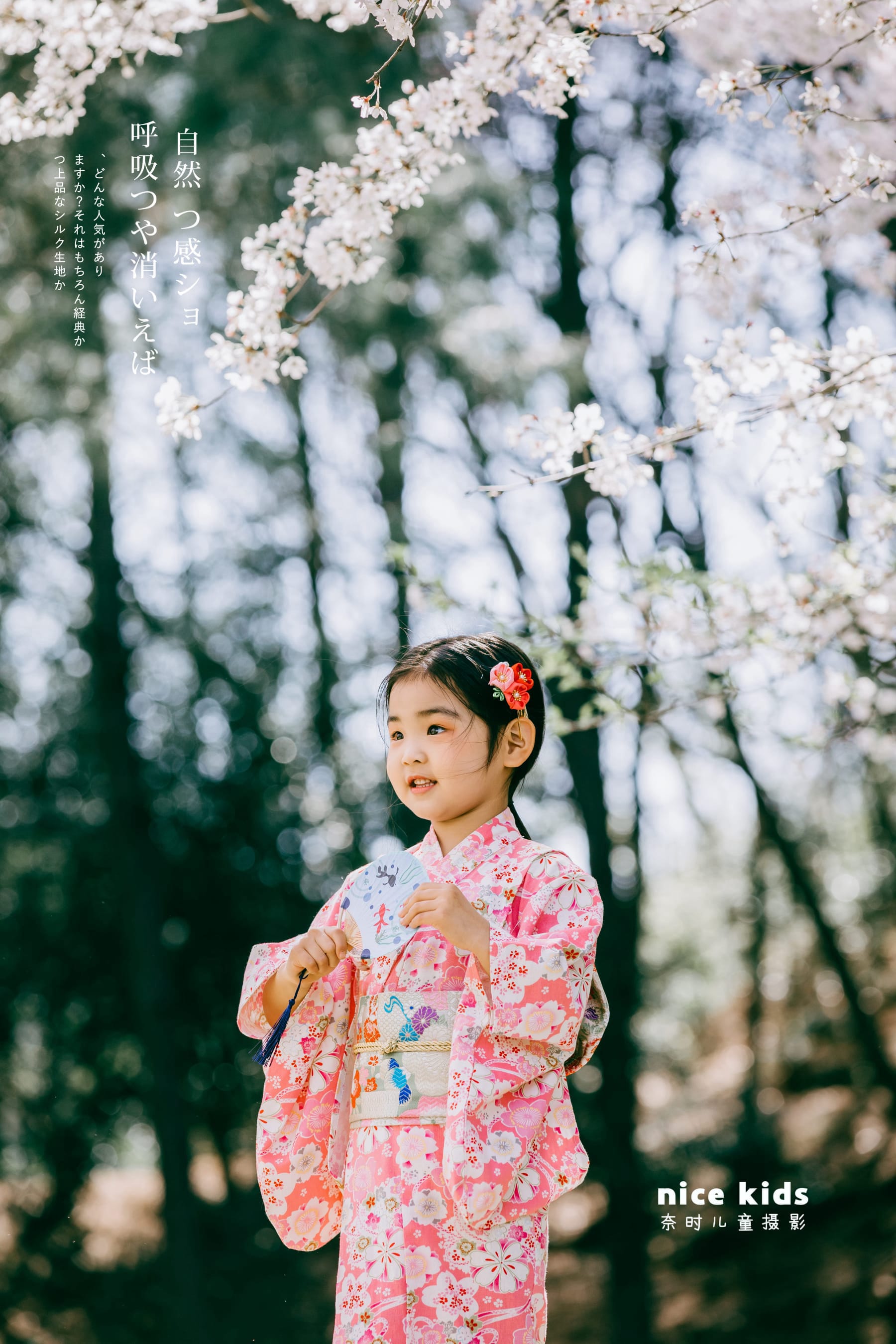 如此浪漫の樱花 苏州NICEKIDS奈时儿童摄影
