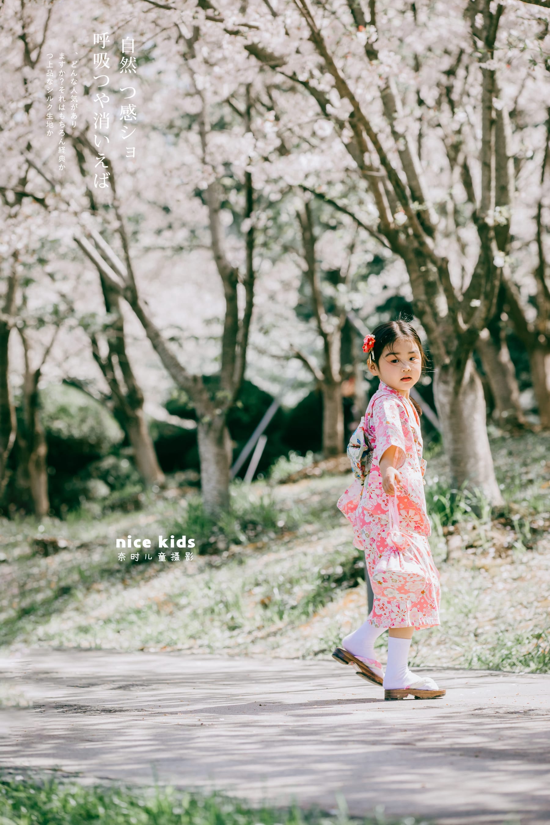 如此浪漫の樱花 苏州NICEKIDS奈时儿童摄影