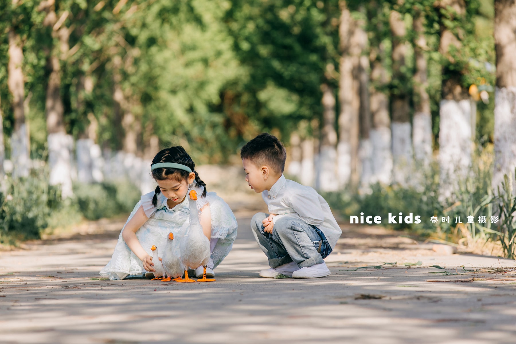 纪实小树林 苏州NICE KIDS奈时儿童摄影