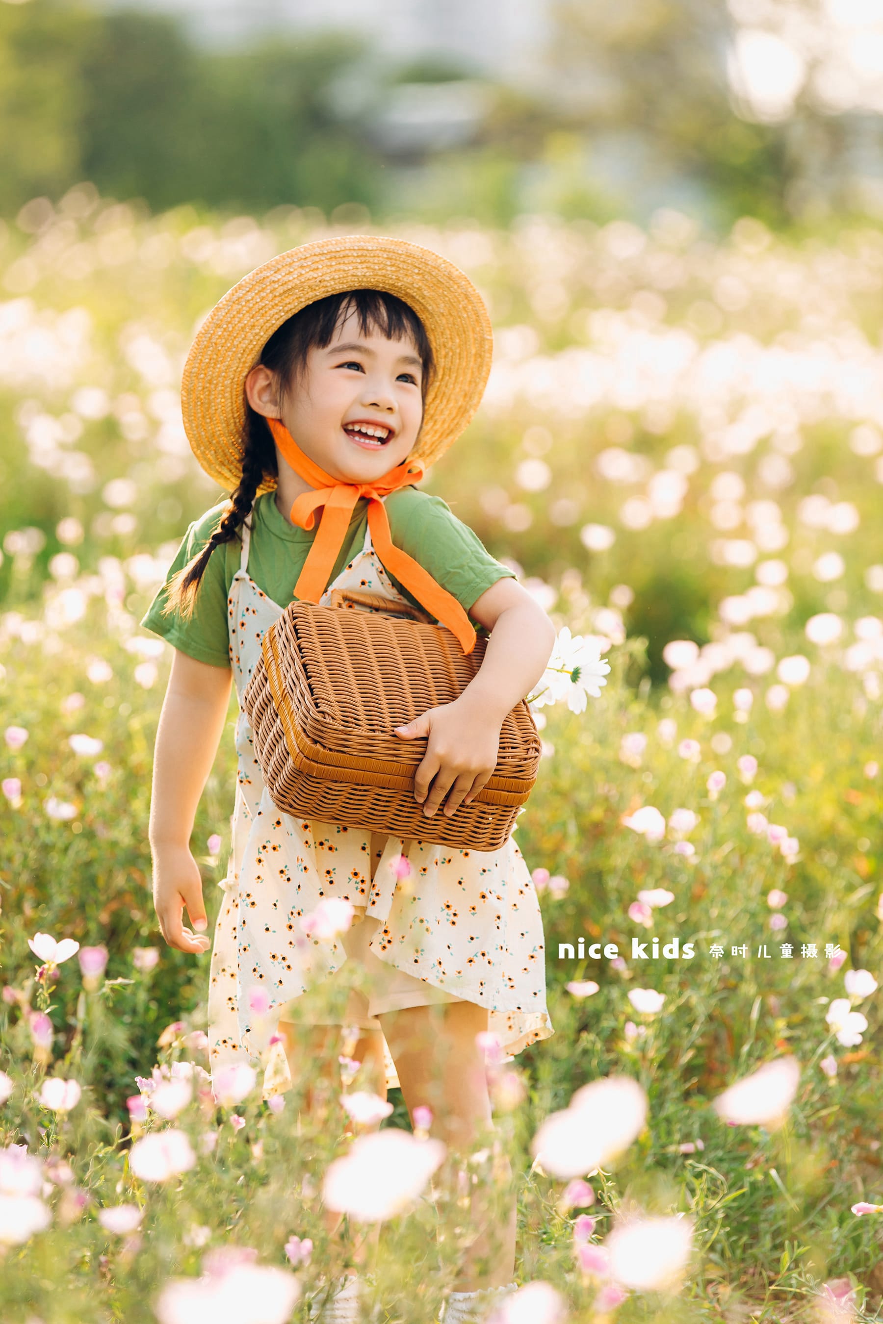 夏日户外-月见草iii