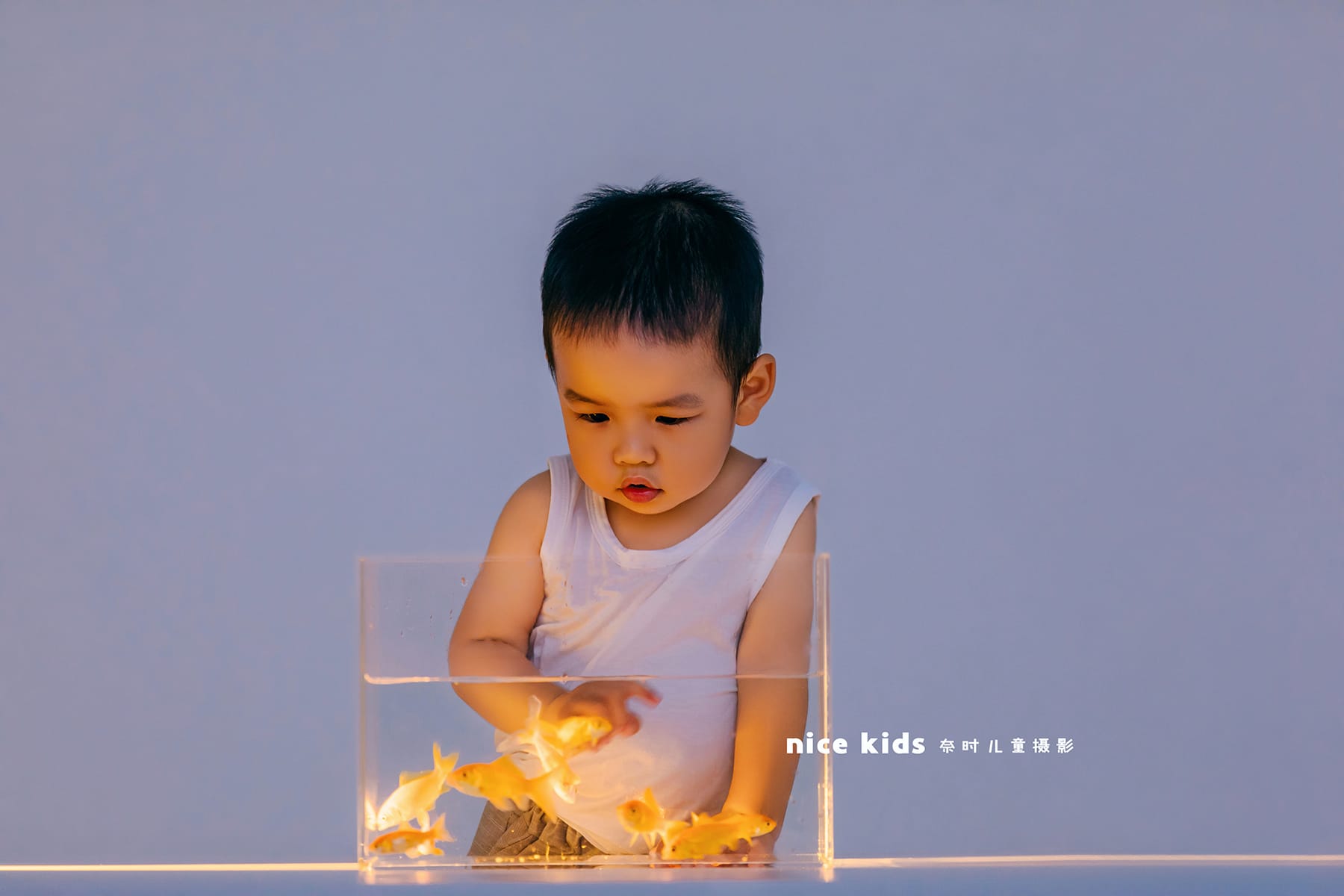 鱼缸-暖色 苏州奈时儿童摄影